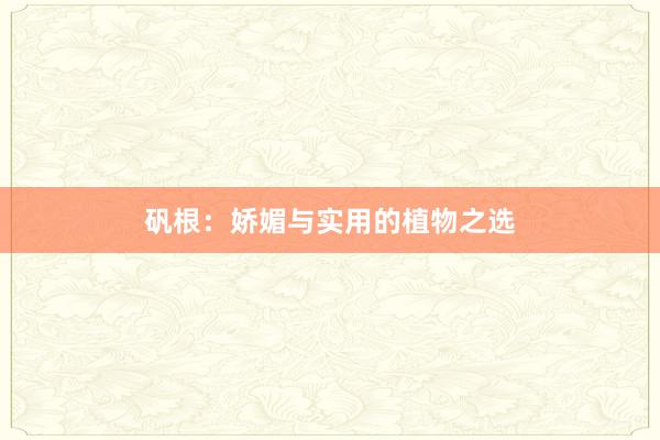 矾根:娇媚与实用的植物之选