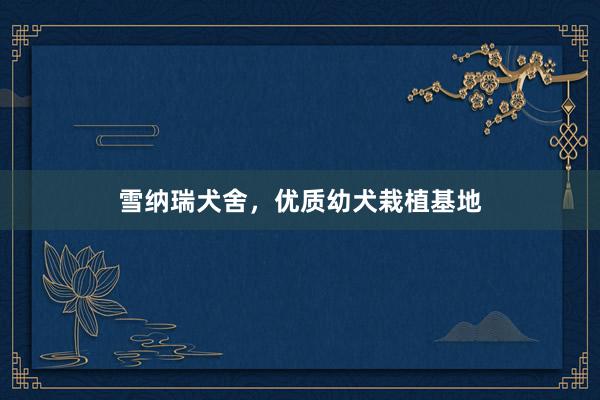 雪纳瑞犬舍，优质幼犬栽植基地