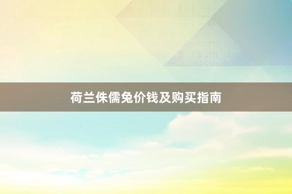 荷兰侏儒兔价钱及购买指南